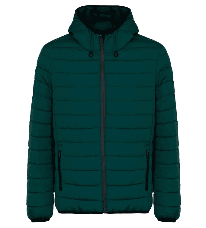 Suns Bape travel forest