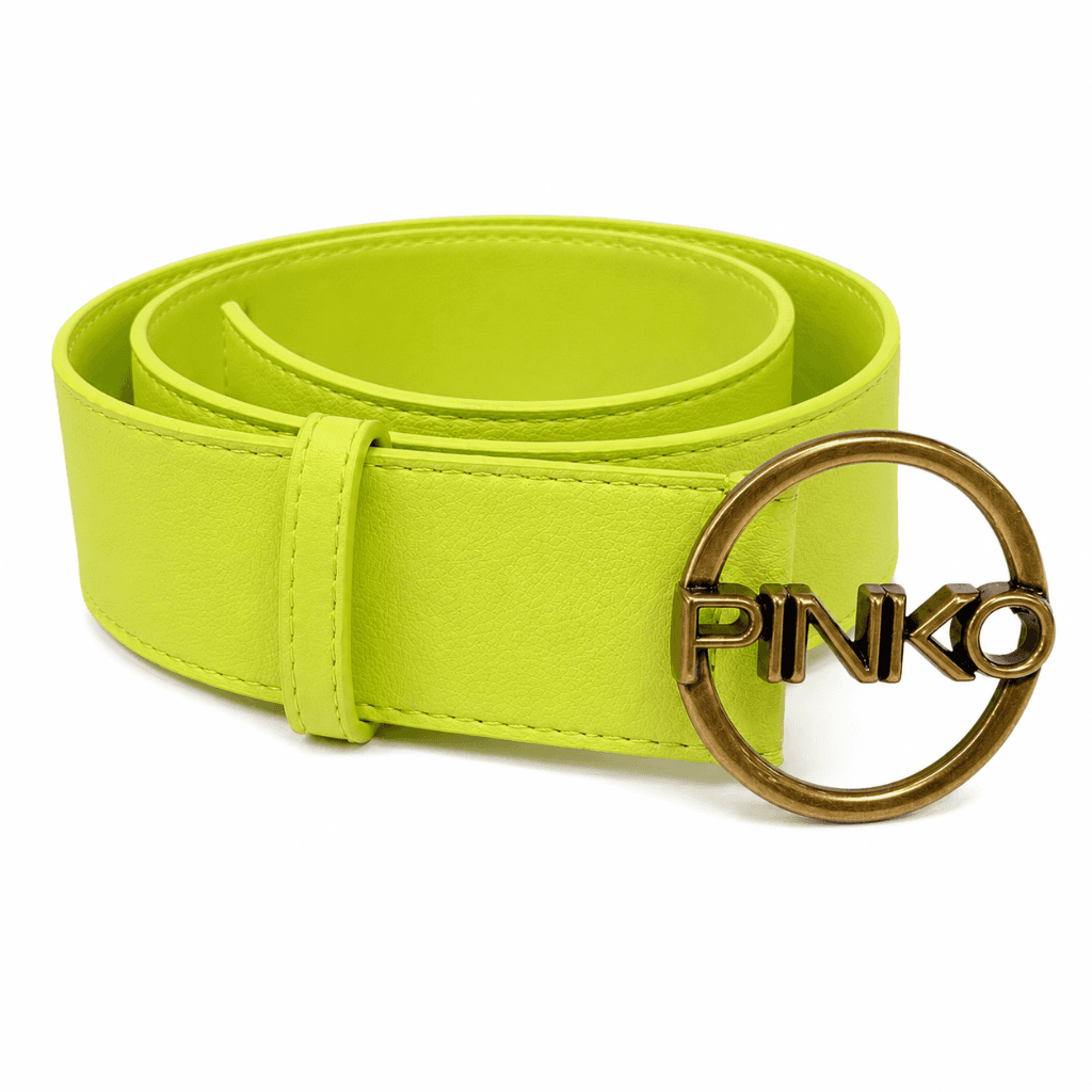 Pinko Cintura dollarino rigenerato